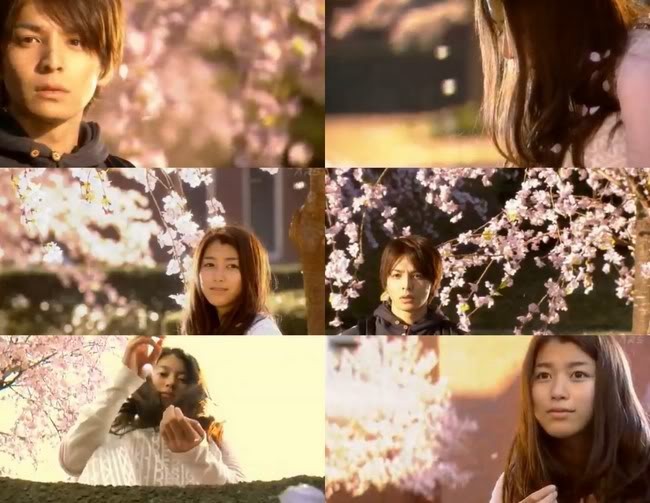 Honey and Clover, Japonya, 2006