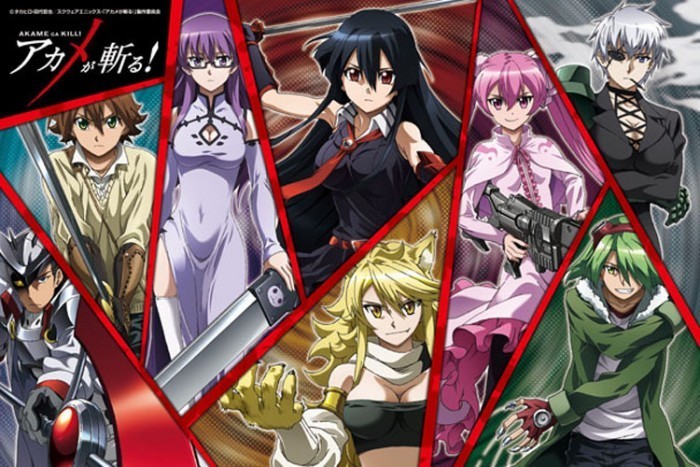 Akame Ga Kill!
