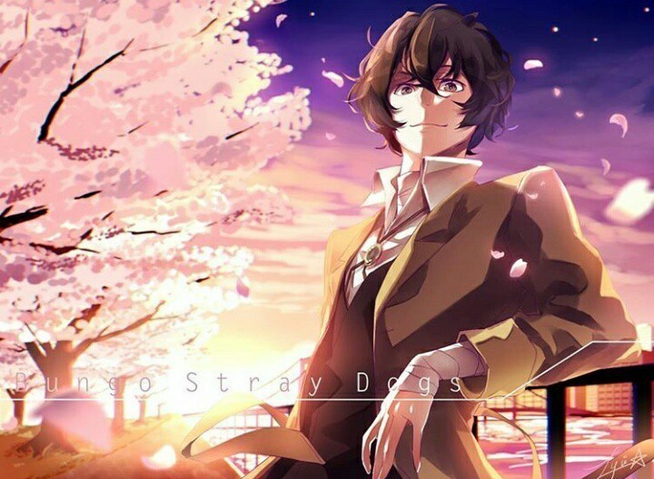 Bungou Stray Dogs - Dazai