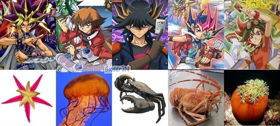 Yu Gi Oh Baş Karakterleri