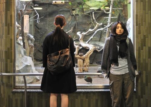 Kakera: A Piece of our Life (Momoko Ando, 2009)