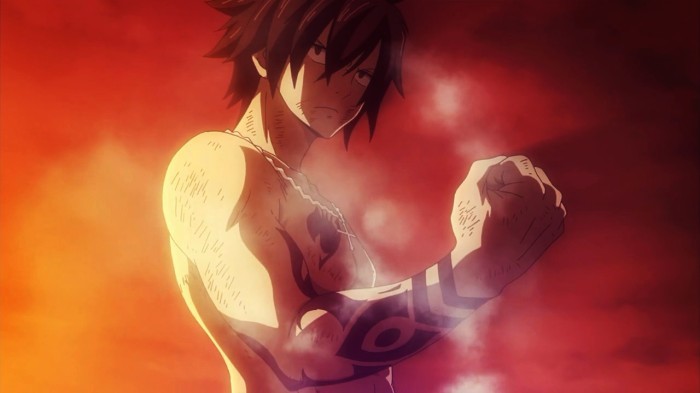 Gray Fullbuster
