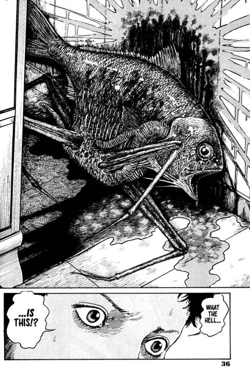Gyo