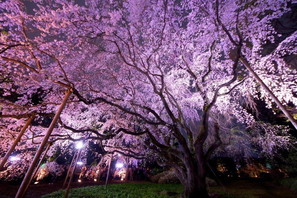 3. RIKUGIEN GARDEN – TOKYO
