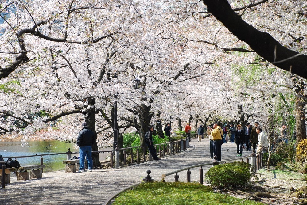 6. UENO PARK – TOKYO