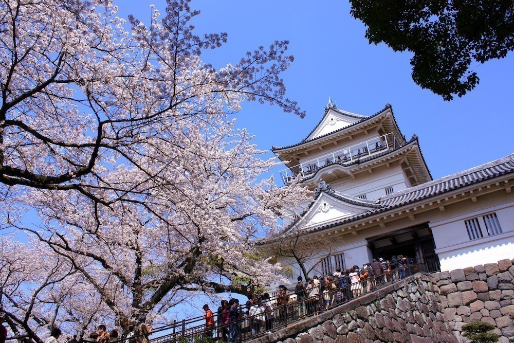 7. ODAWARA JOSHI PARK – KANAGAWA