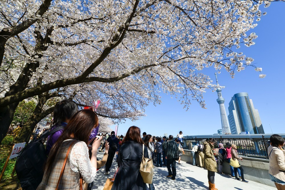 14. SUMIDA RIVER PARK – ASAKUSA