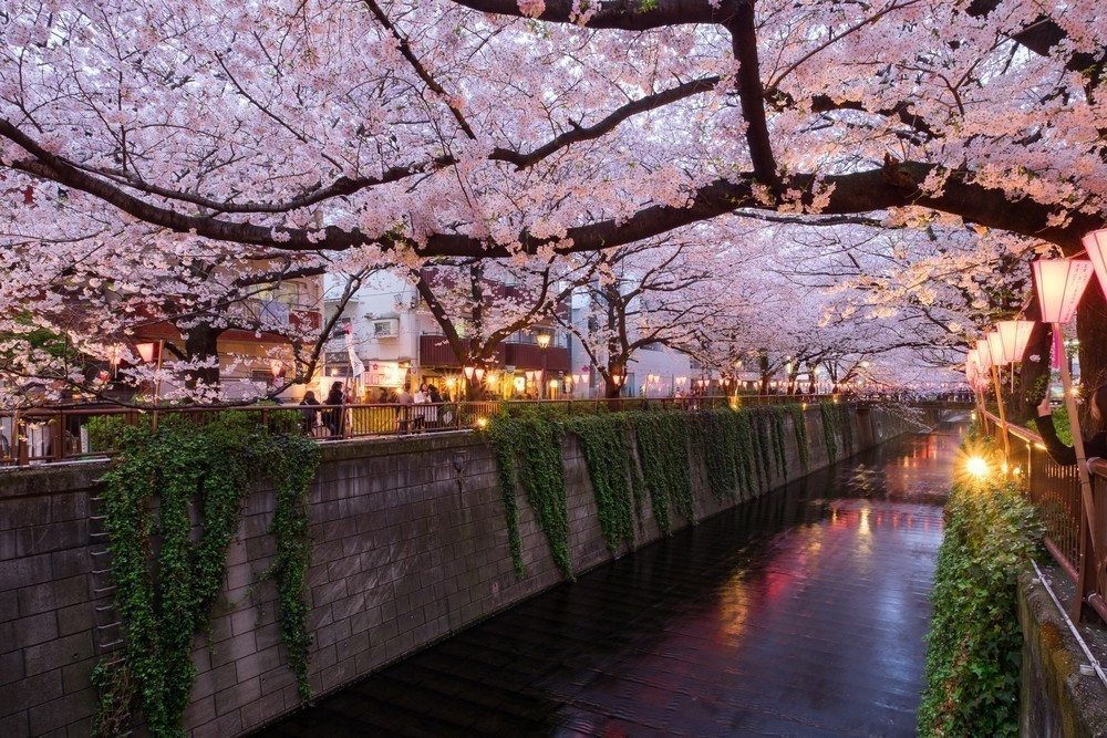 1. MEGURO RIVER – TOKYO
