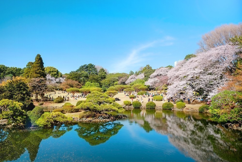2. SHINJUKU GYOEN – TOKYO