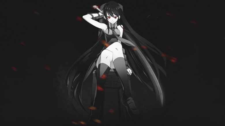 Akame Ga Kill
