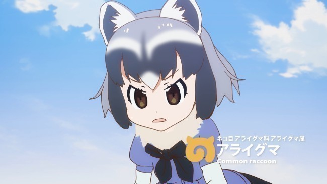 7- Common Raccoon (Kemono Friends) – 64 oy