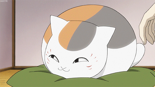 1- MADARA (Natsume’s Book of Friends) – 510 OY