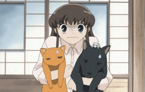 Fruits Basket (2001)