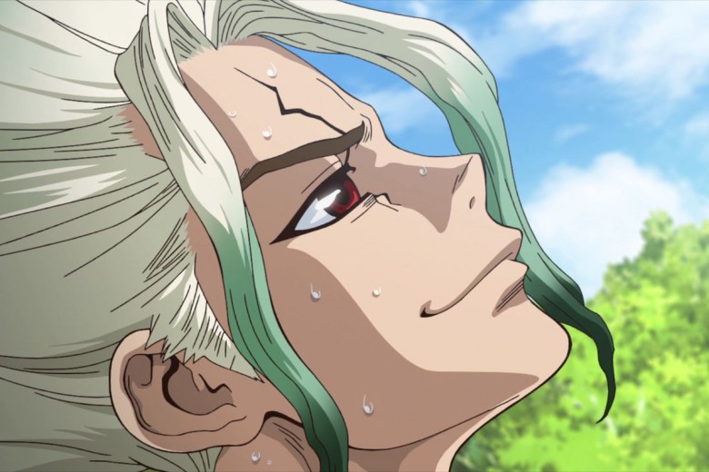 Dr. Stone