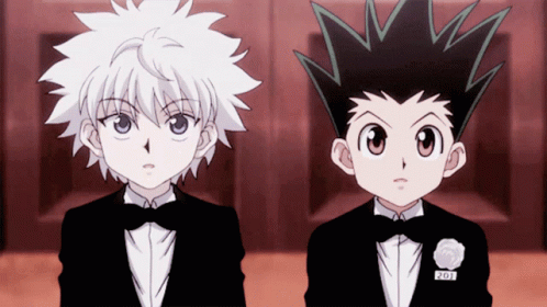 Hunter x Hunter | Gon Freecss & Killua Zoldyck
