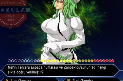 Bleach'in Nel'ini Anımsayanlar, Sorumuz Size