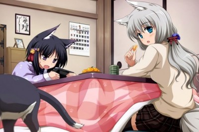 Anketler, Kotatsu'nun Japonya'da Giderek Popülaritesini Kaybettiğini Söylüyor