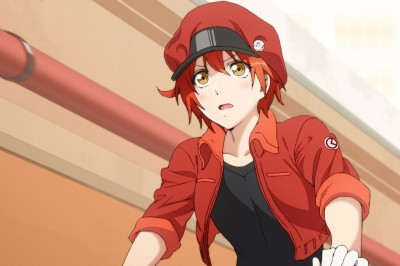 TV Anime Cells at Work! İçin Karakter Tasarımları Yayınlandı