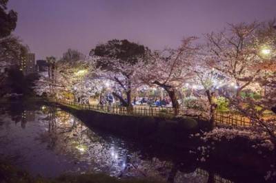 Japonya'da Duymadığınız 8 Güzel Yer 