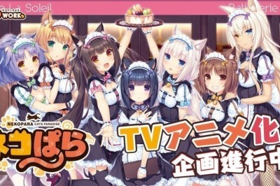 OVAların Ardından Nekopara Serisine TV Animesi Geliyor