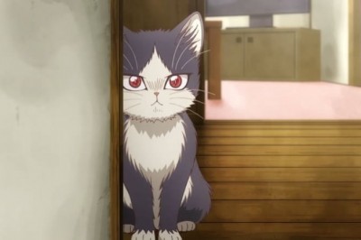 My Roommate is a Cat Animesinin Starı Kensho Ono Gerçek Kediciklerle Baş Etmeye Çalışıyor