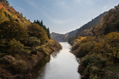 Japonya Seyahati ve Japonya'ya Taşınmak