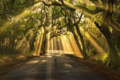 Başka Bir Dile Çevrilemeyen Büyüleyici 18 Japonca Kelime