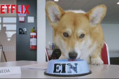 “Cowboy Bebop”ın Netflix Uyarlaması Sonbaharda Yayınlanacak