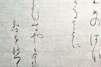 Haiku Nedir? Japon Şiir Türü Haiku'ya Genel Bir Bakış