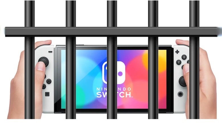 Nintendo Korsanı Japon Hüküm Giydi